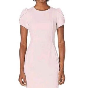 Easter dress! NWTPale pink flutter sleeve Calvin Klein